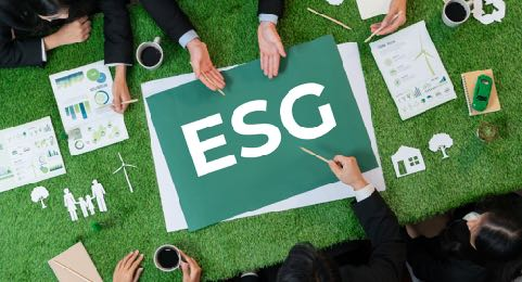 ESG̼ѯ